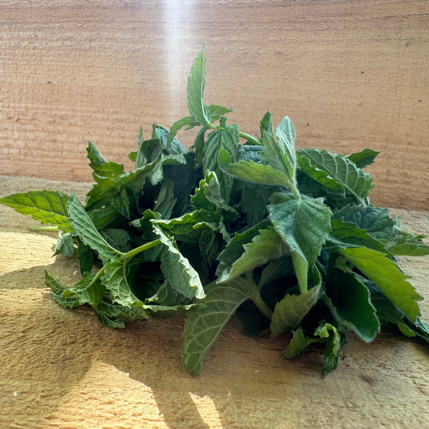 Menthe poivrée