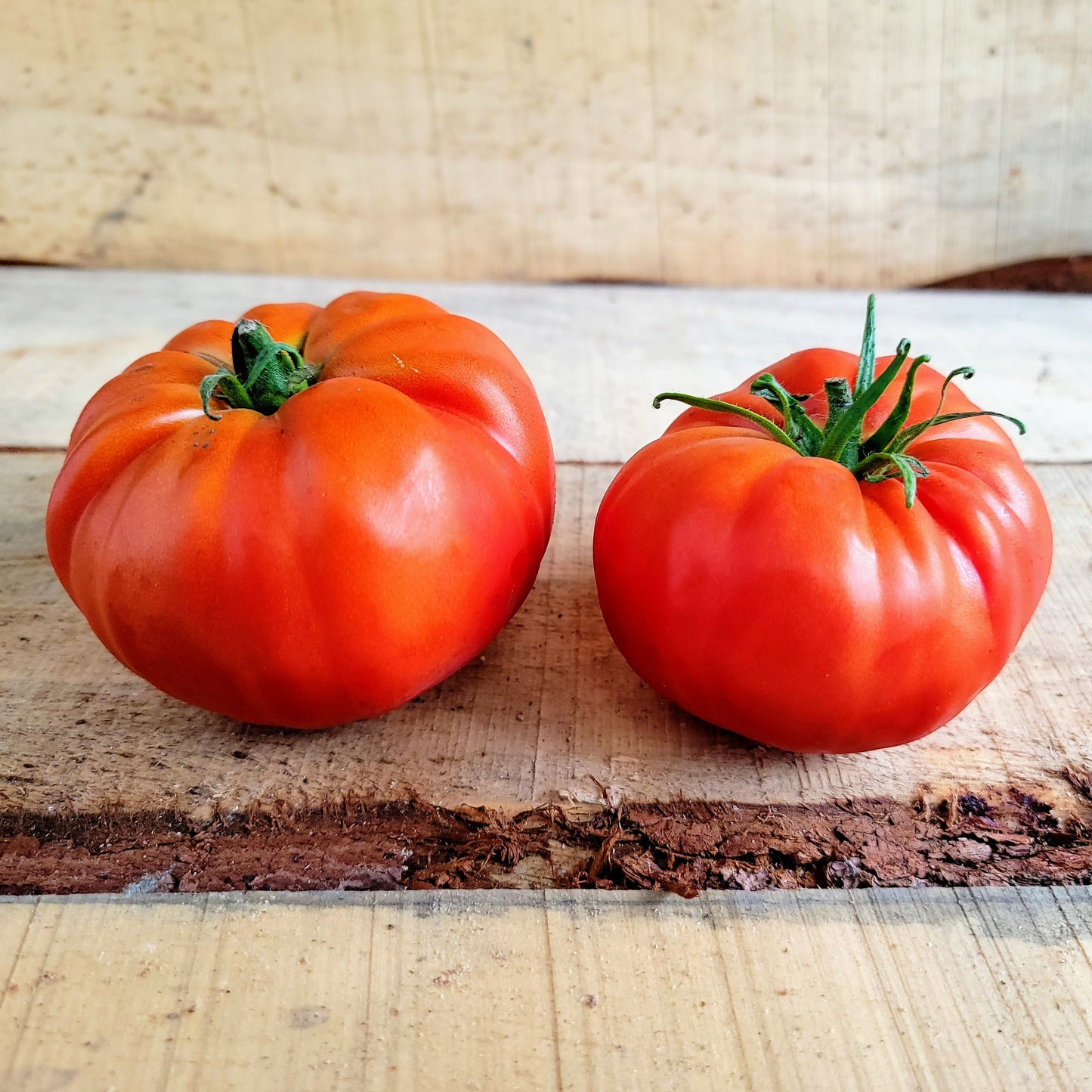 Tomate