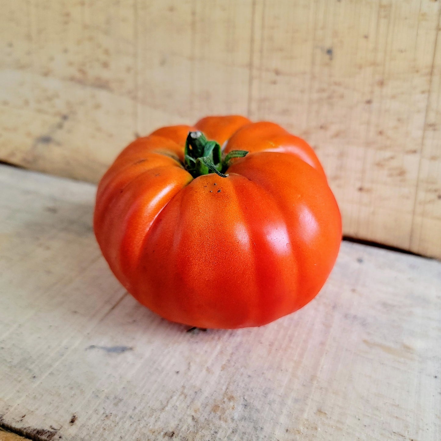 Tomate