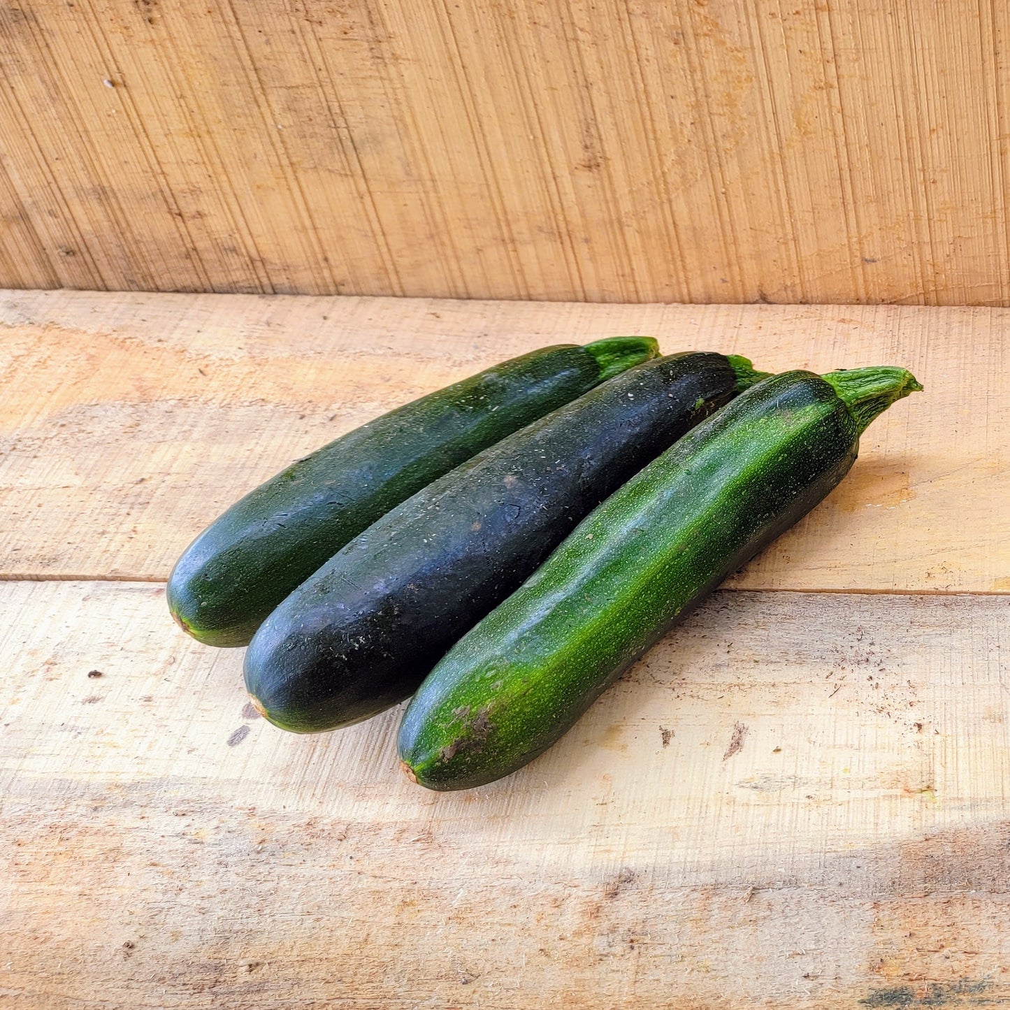 Zucchini