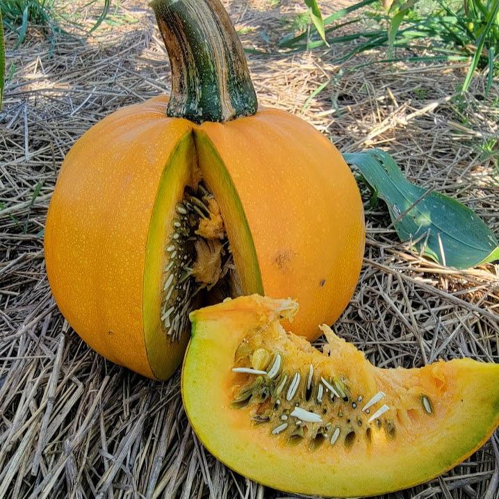 Citrouille - À graines