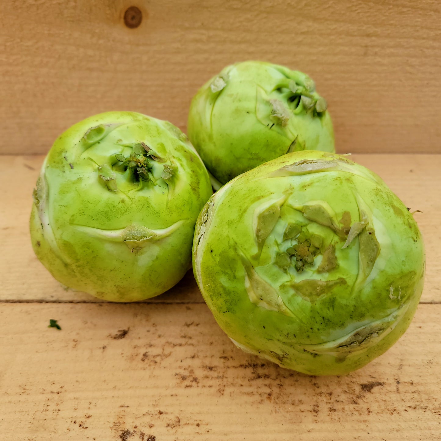Kohlrabi - Biologique