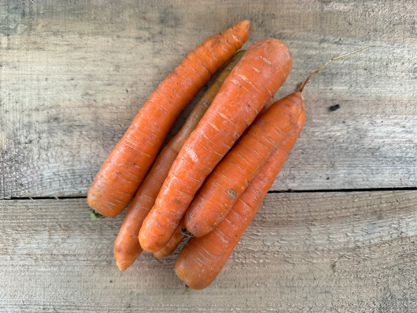 Carottes - Vrac