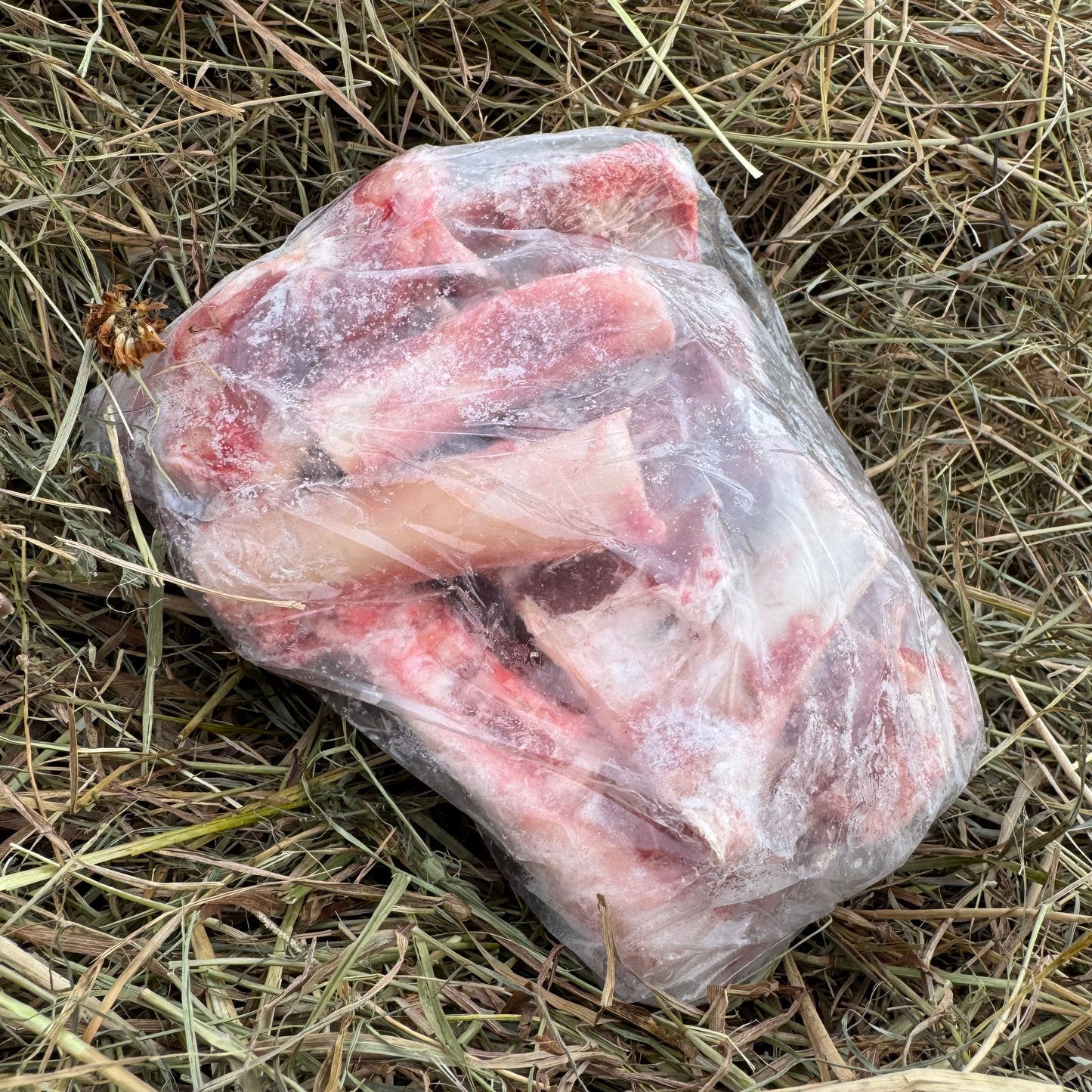Lamb - Soup Bones