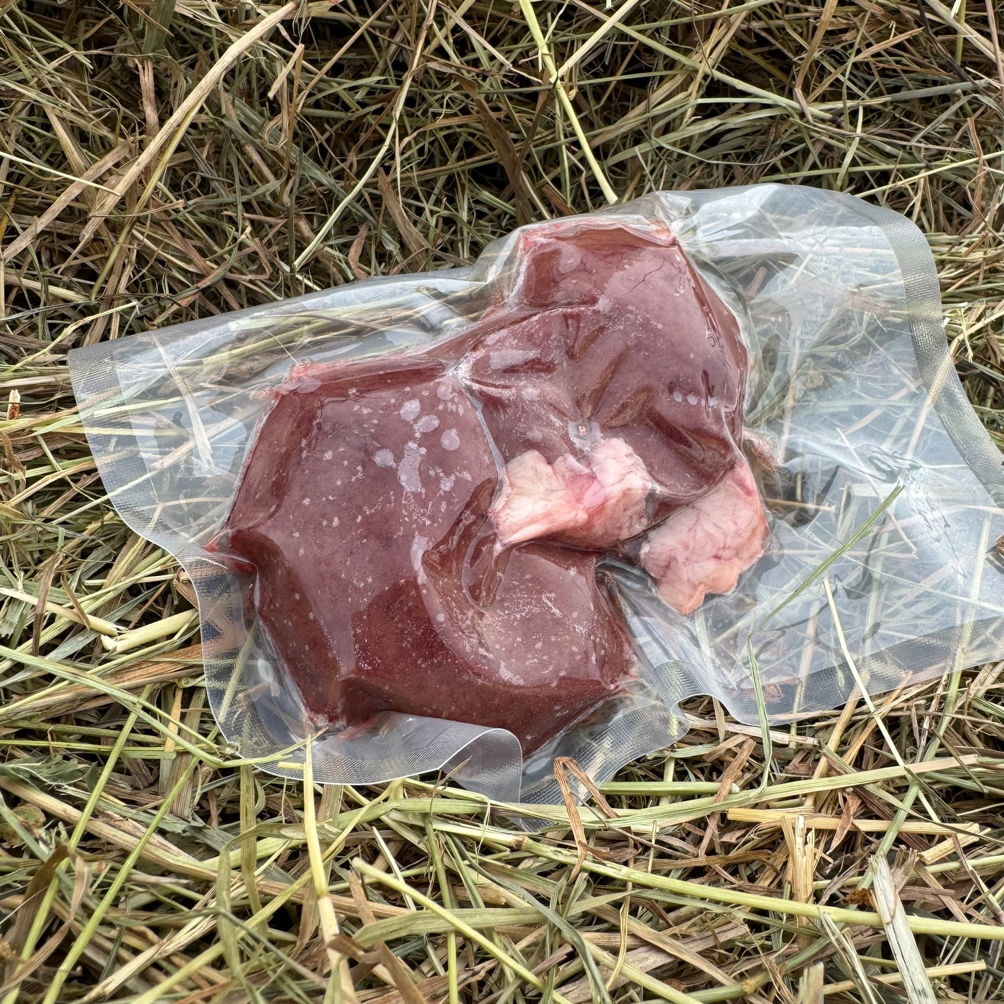 Lamb - Kidney