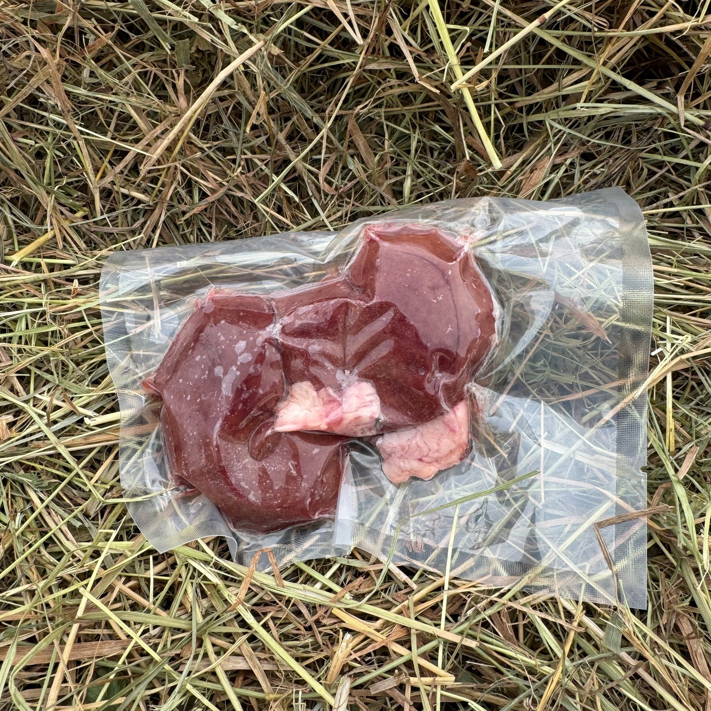 Lamb - Kidney