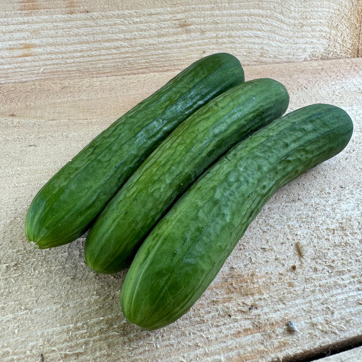 Mini concombre