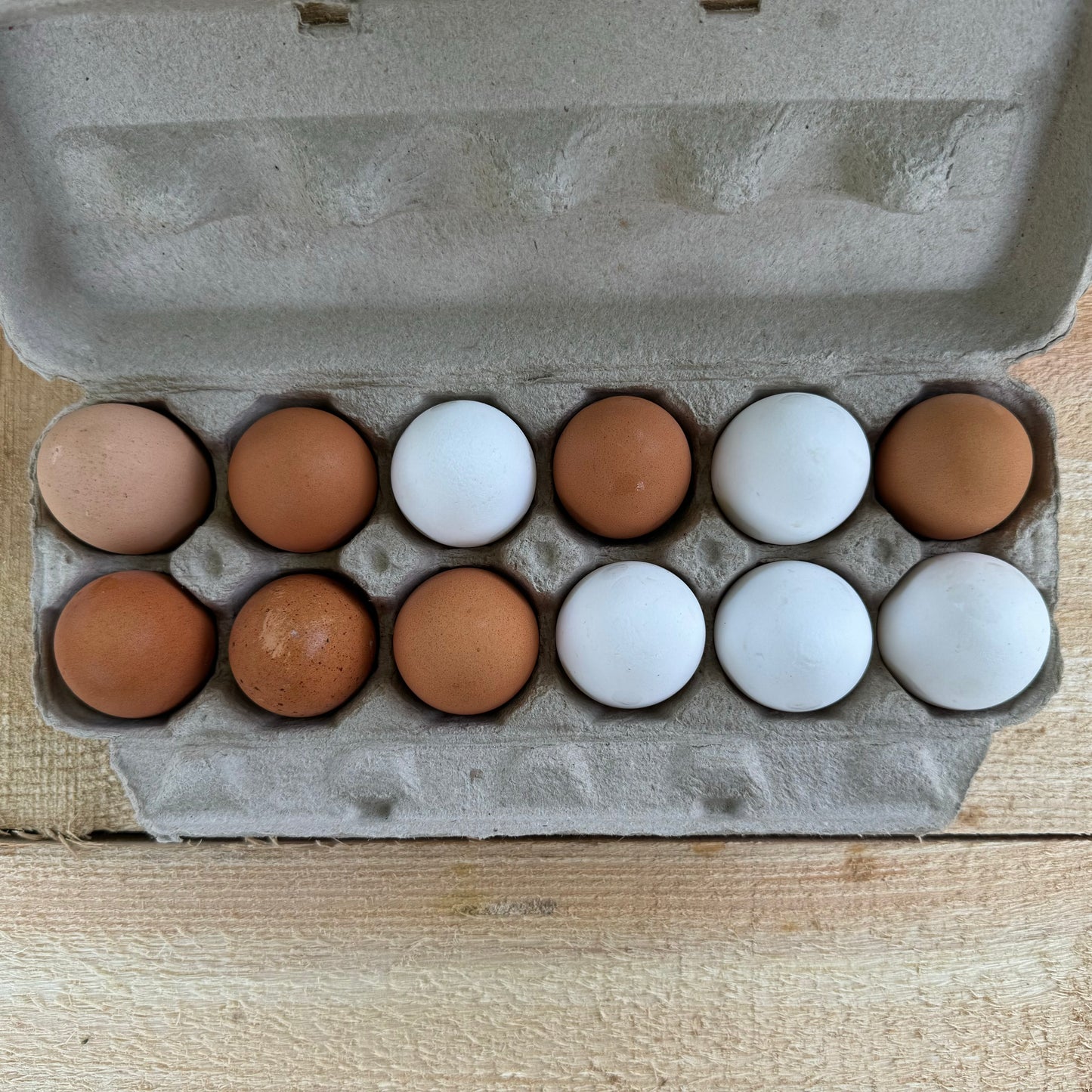 Oeufs de pâturage