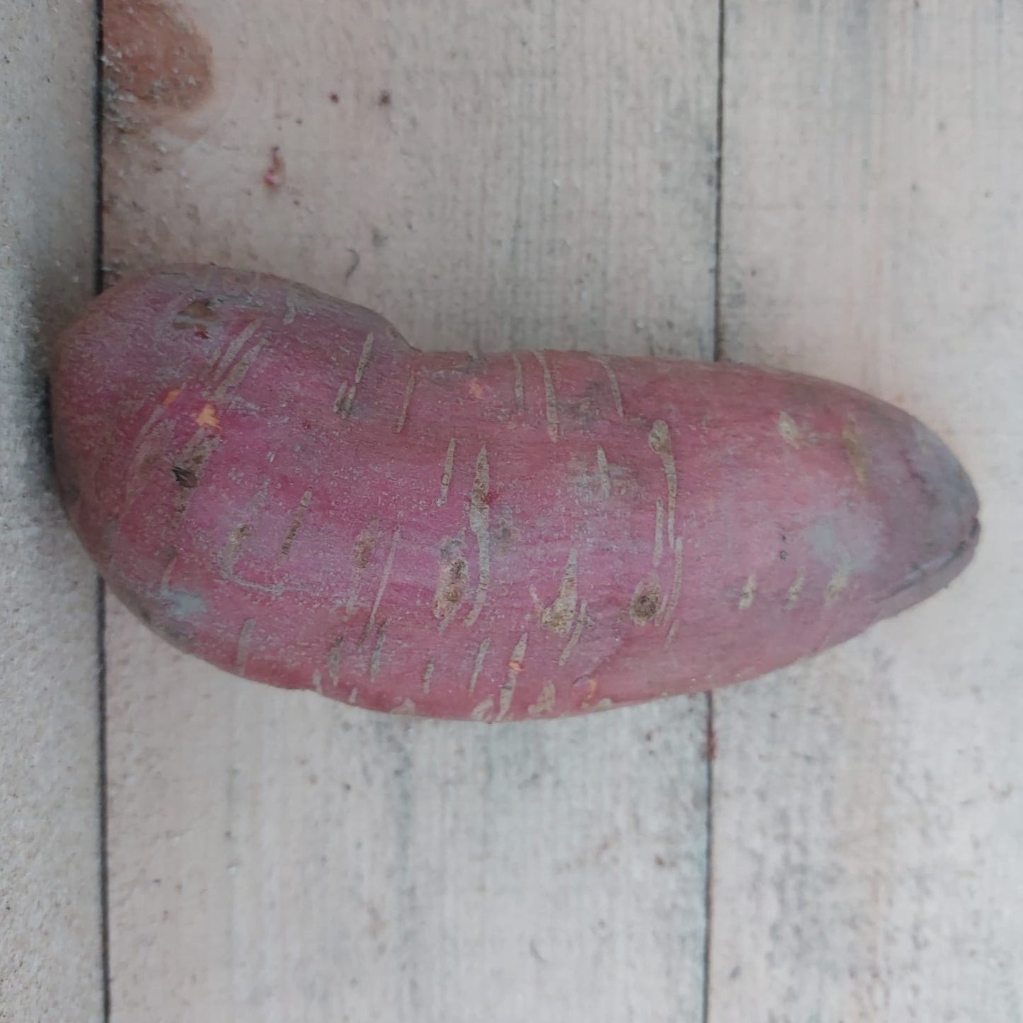 Patate douce - Biologique