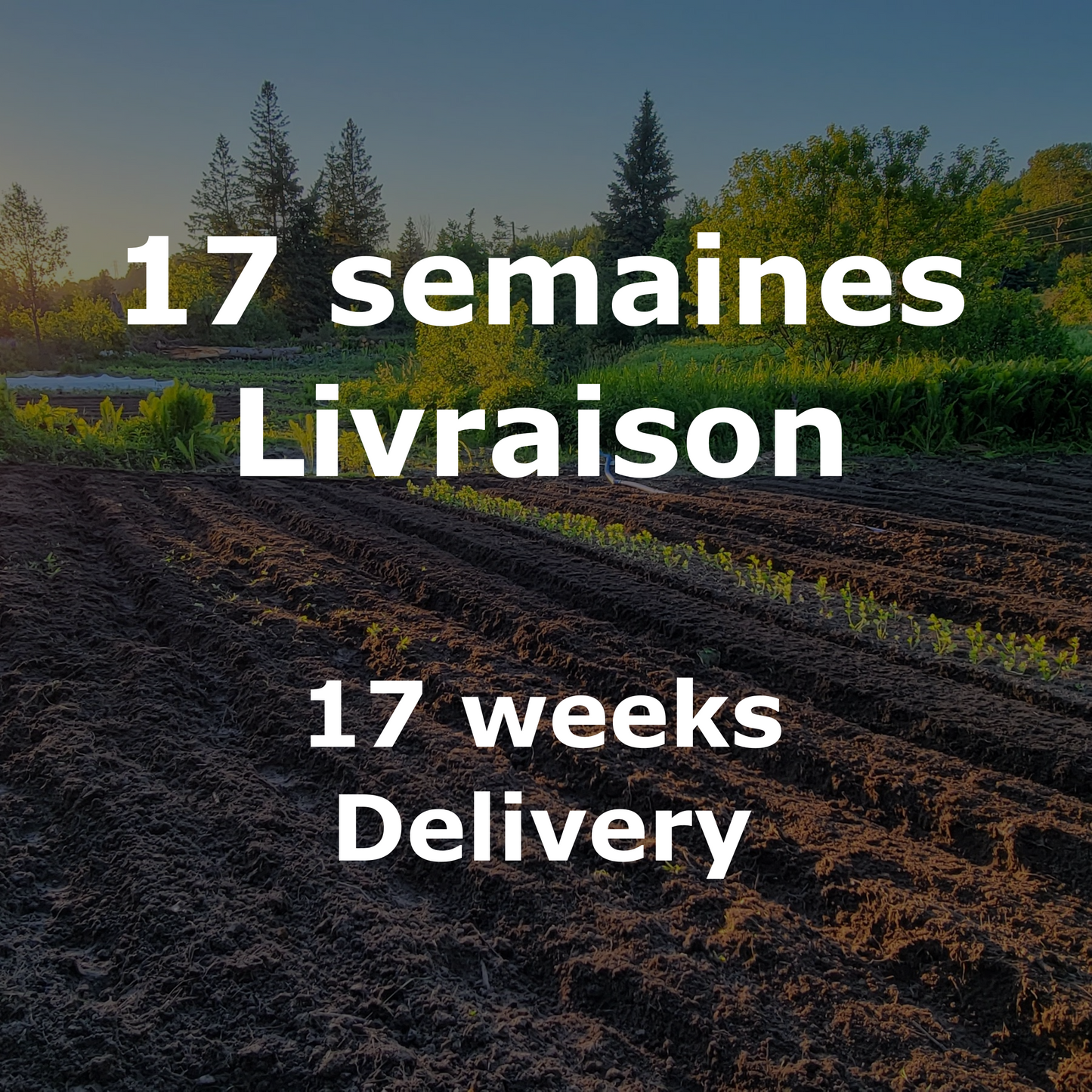 Panier de légumes - 17 semaines - Livraison