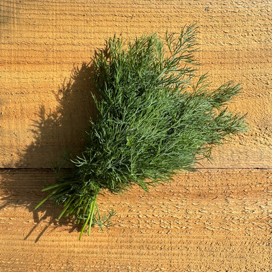 Dill