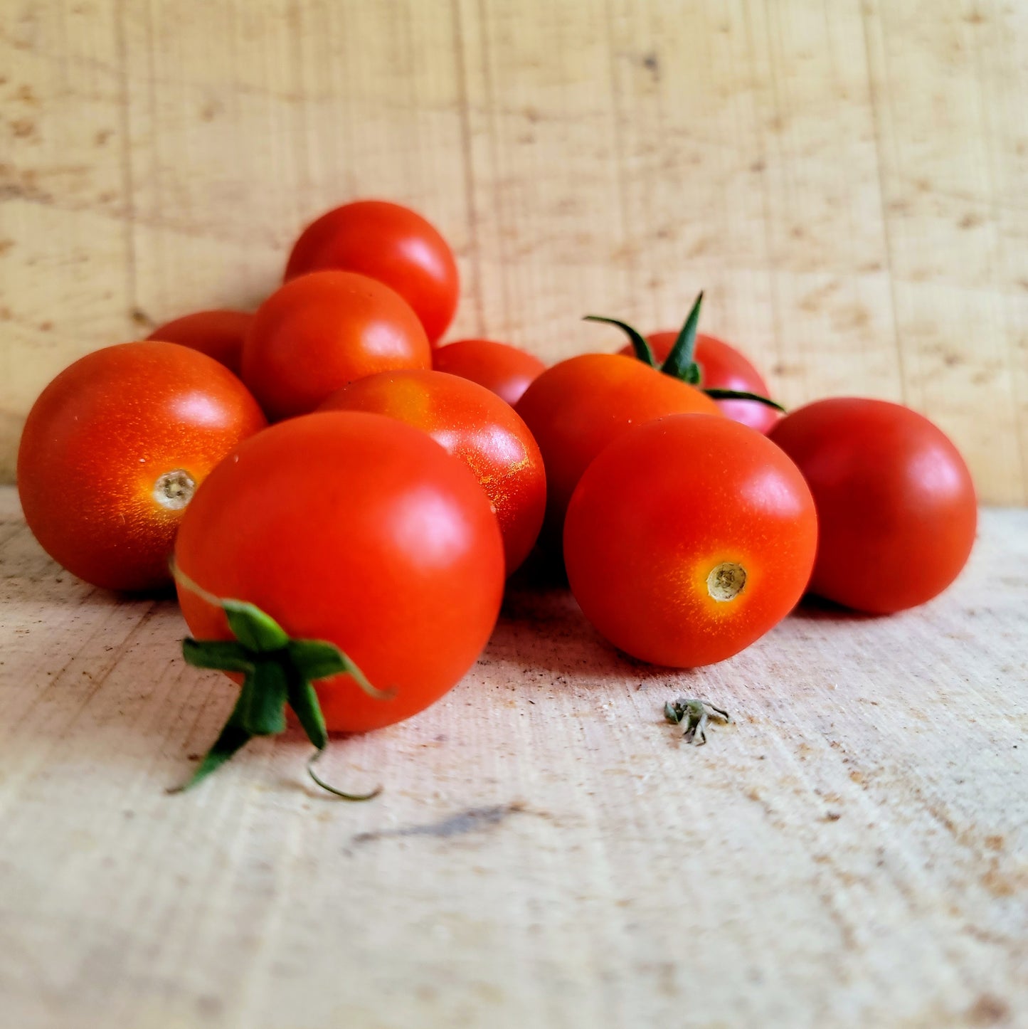 Tomates cerises