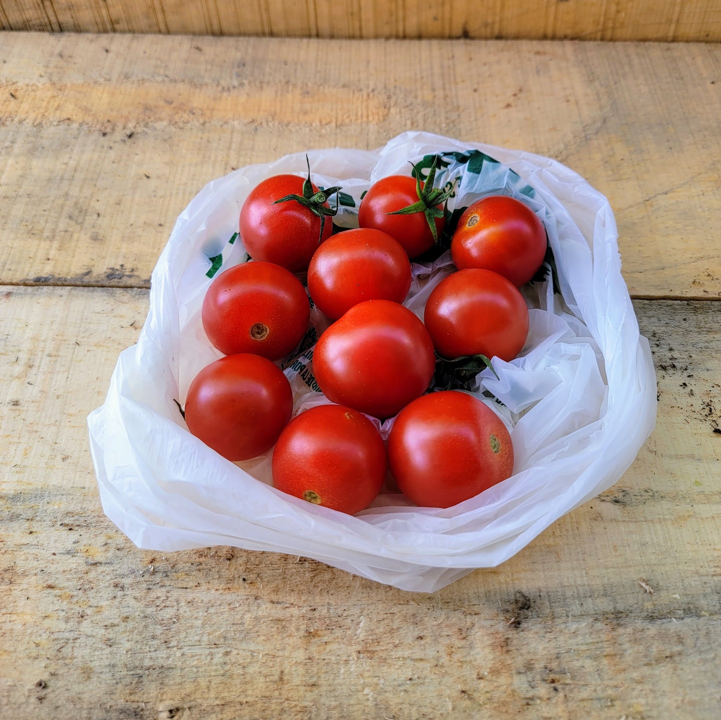 Tomates cerises - Biologique