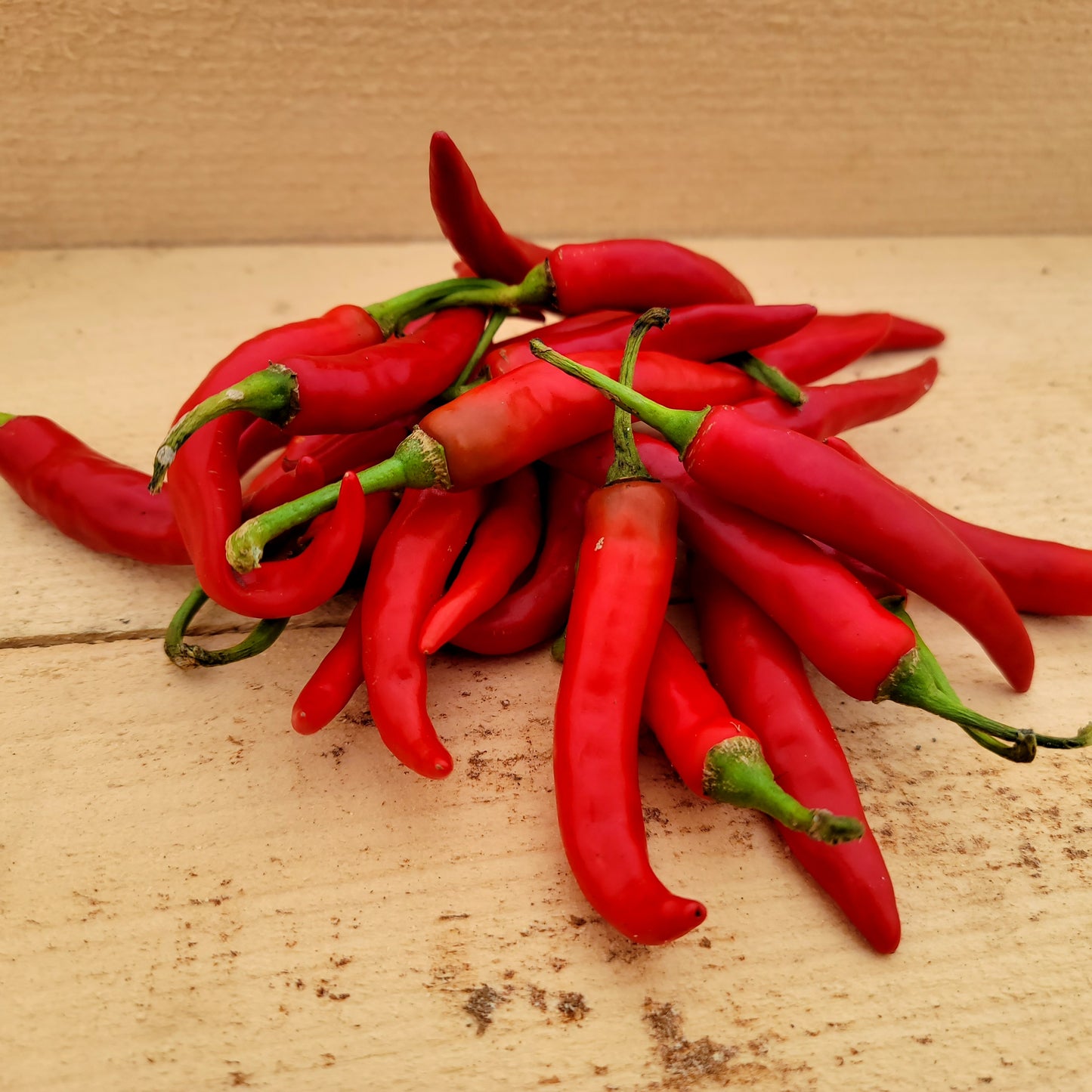 Piment - Cayenne - Biologique