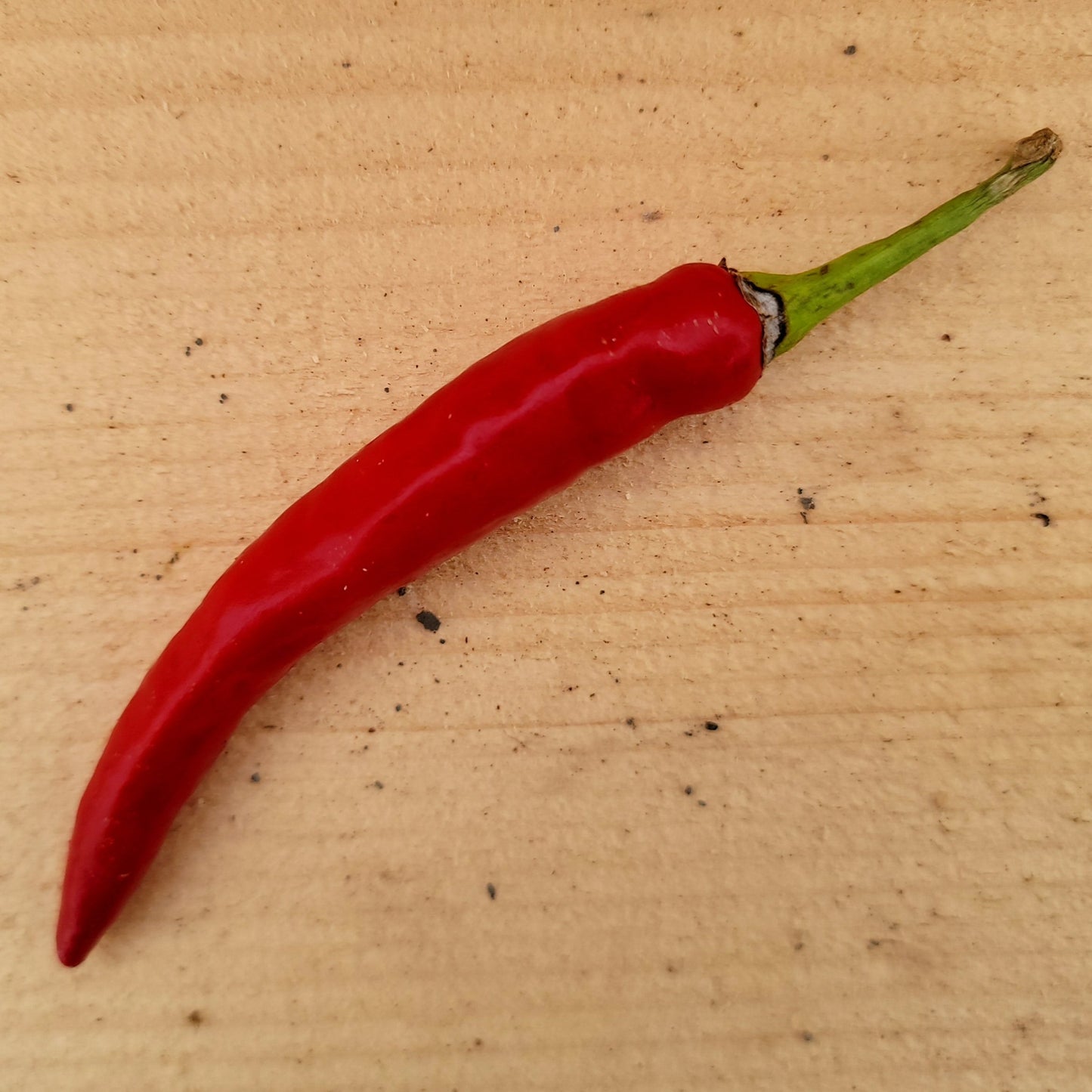 Piment - Cayenne - Biologique