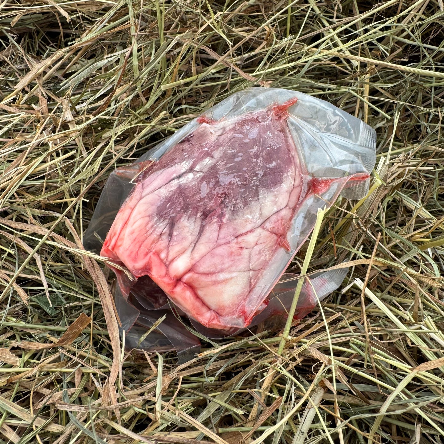 Lamb - Heart