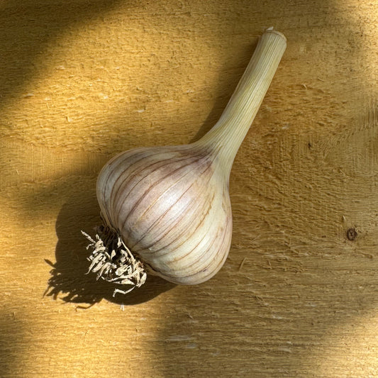 Ail - Séché