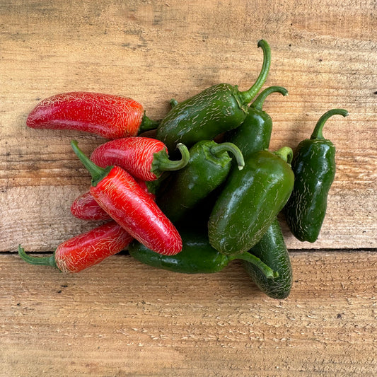 Piment - Jalapeño