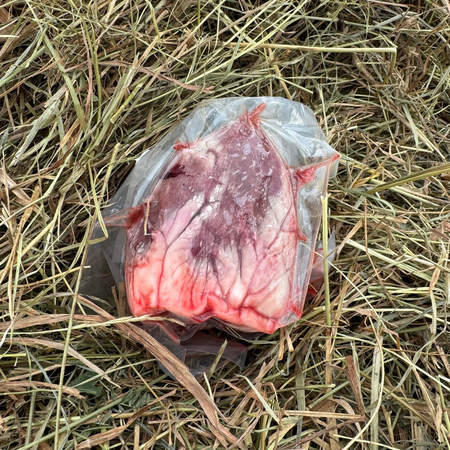 Lamb - Heart