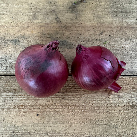 Onions - Cured - Red