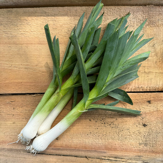 Garlic - Green