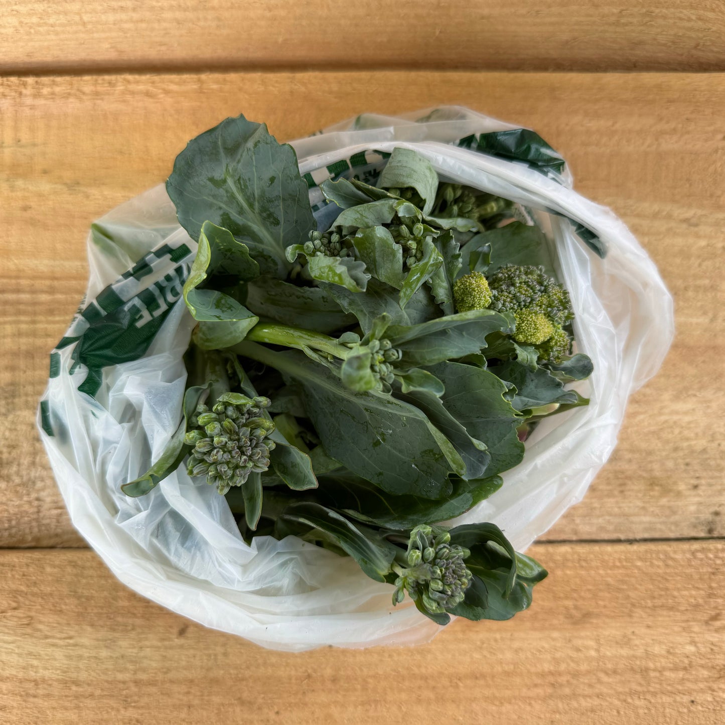 Broccolini