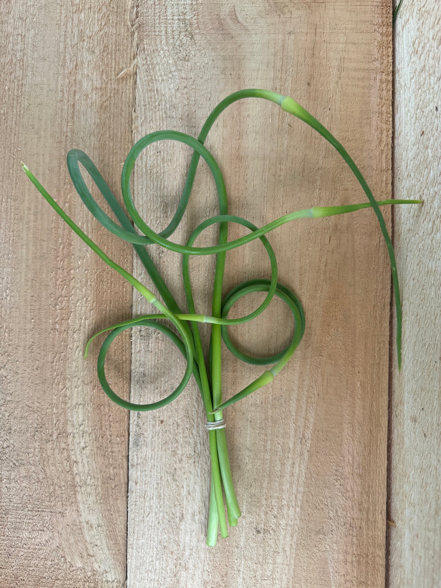 Garlic scapes