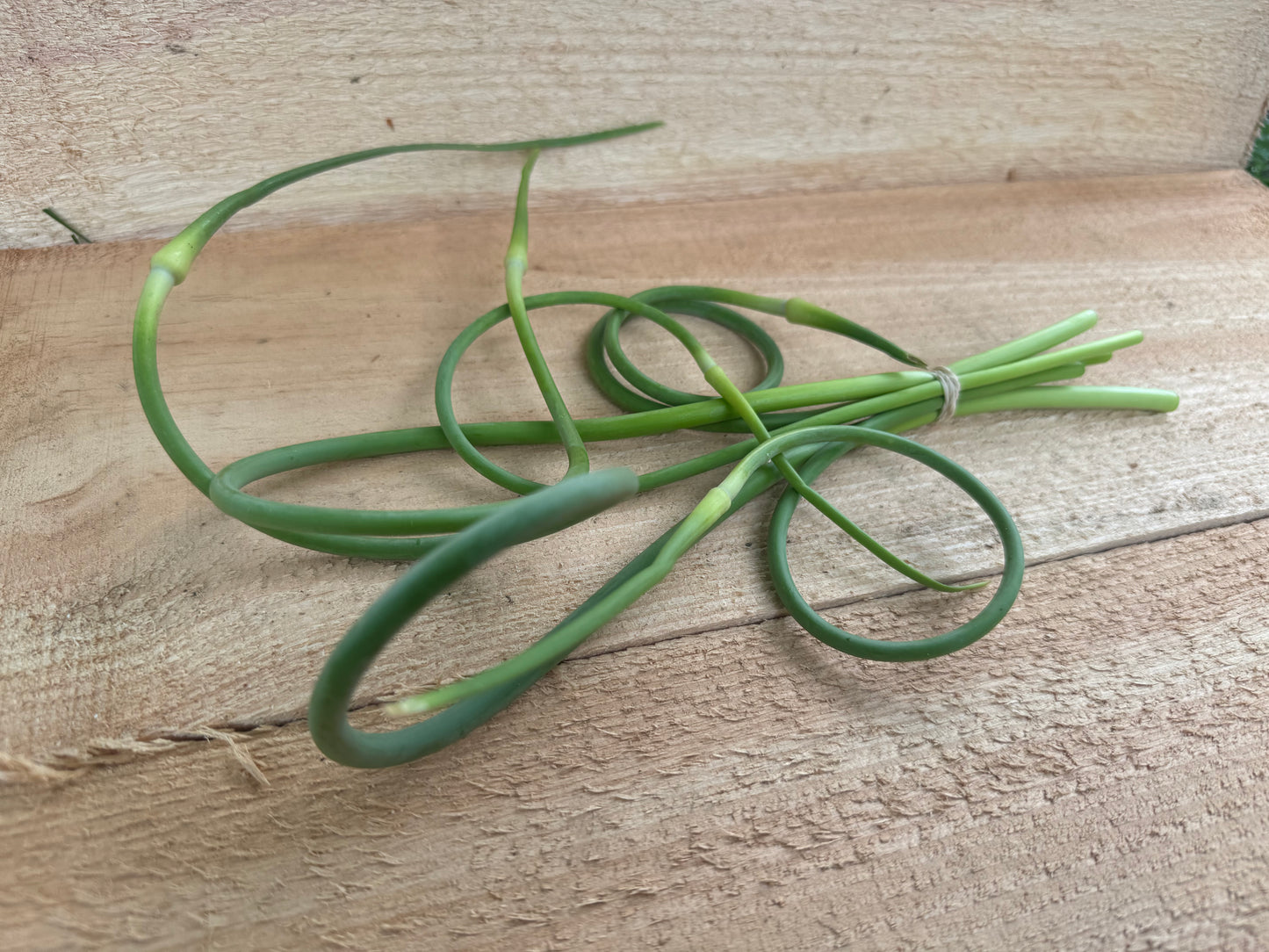 Garlic scapes