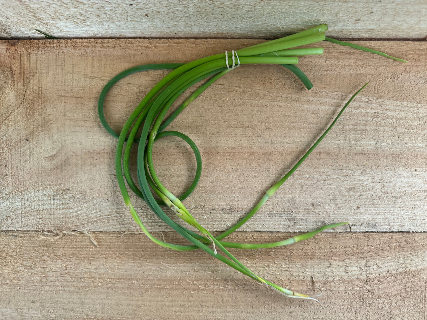 Garlic scapes