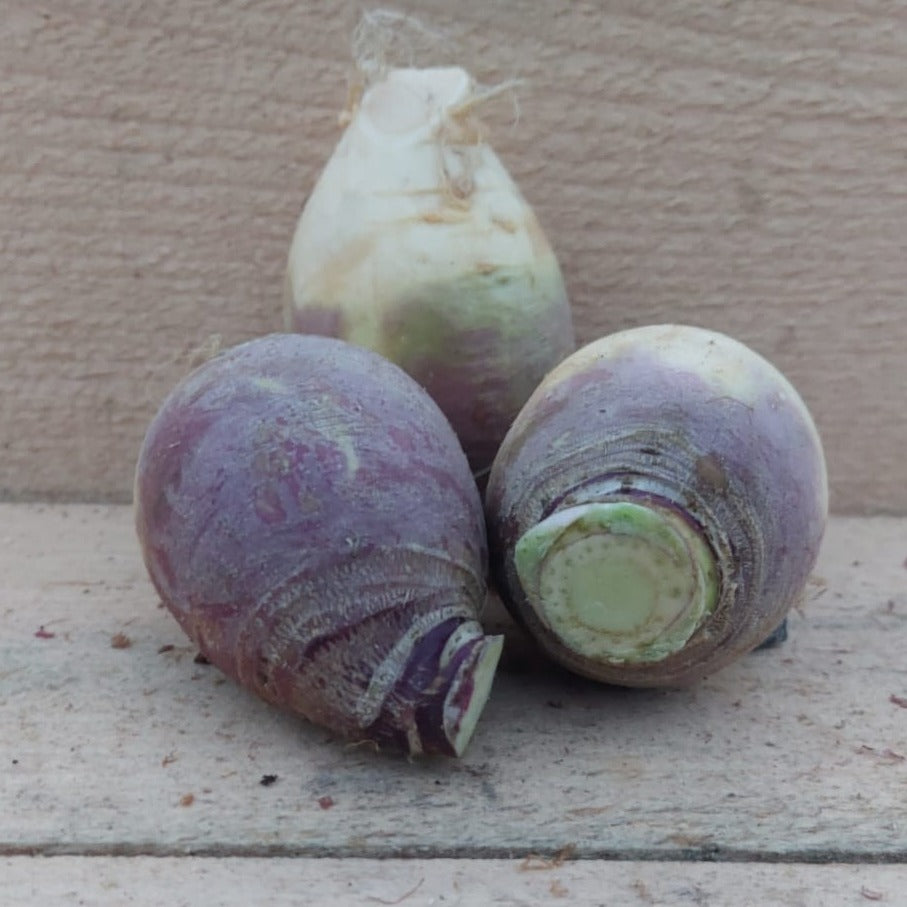 Turnip - Organic
