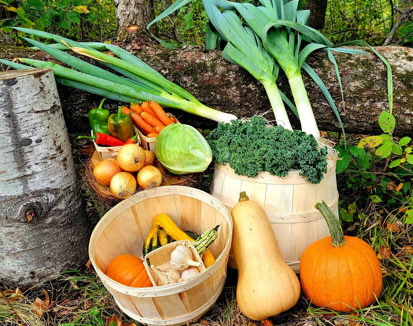 Vegetable basket - 17 weeks - Pickup